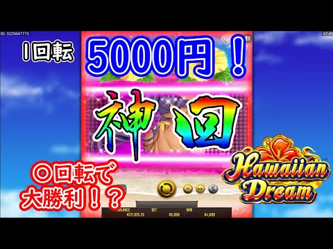 【ハワイアンドリーム】1回転5000円の大勝負してみたらまさかの大勝ち！？www【BONSカジノ】